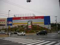 �P�[�Y�f���L �K�[�f���V�e�B�����X