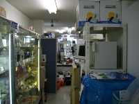 �ӂ����Ƃ΂���