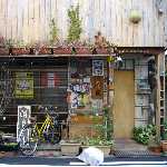 �C������