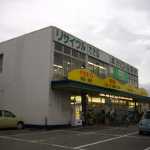 �T���N�X�E�o�������X