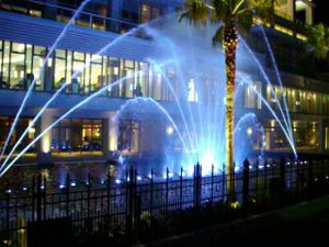 �����V���[