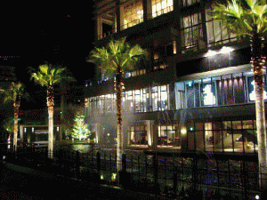 �����V���[