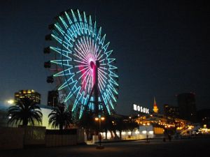 ���U�C�N�ϗ���