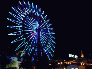 ���U�C�N�ϗ���