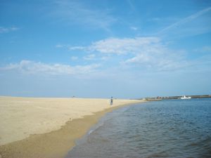 �{���C�ݒ���