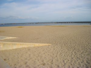 �{���C�ݒ���