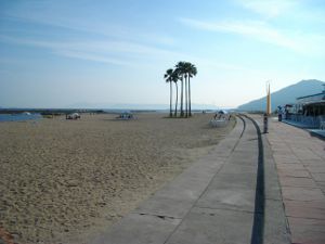 �{���C�l�����t��