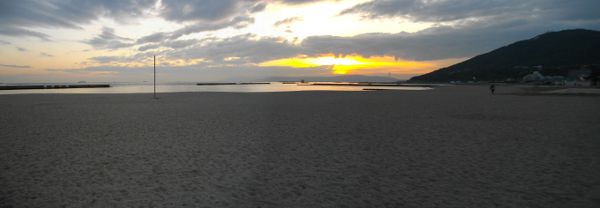 �{���C�݂Q�O�P�Q �ӏH