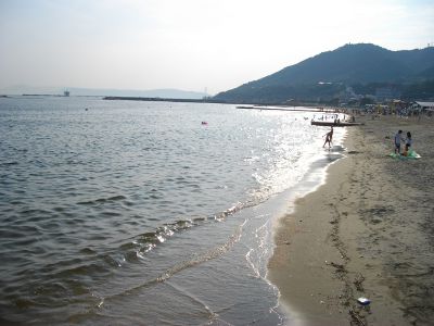 �{���C��