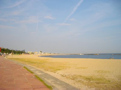 �{���C��