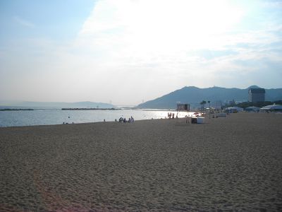 �{���C��