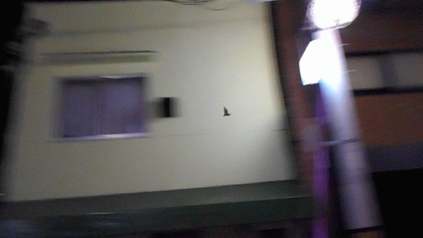 ��̃R�E����