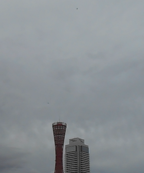 �|�[�g�^���[�ƃT�M