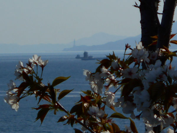 ���E���a��ω����ƍ�