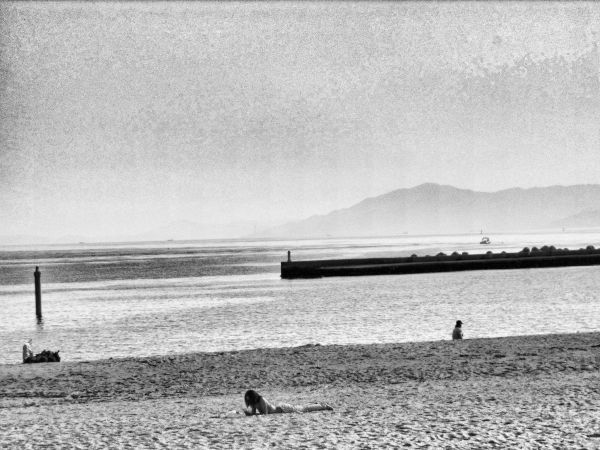 �{���C�݂���̐��E���a��ω���