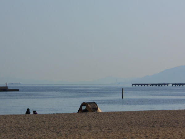 �{���C�݂���̐��E���a��ω���