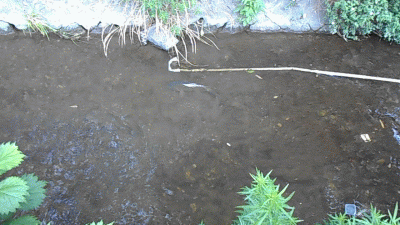 �I���Ȃ���(�R�C)