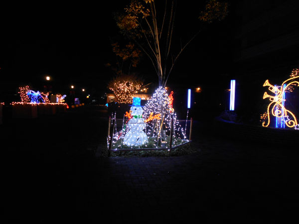 �����K�q��