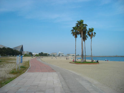 �{���C��