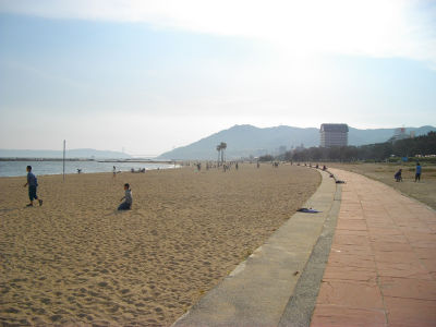 �{���C��