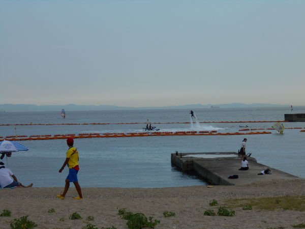 �{���C��