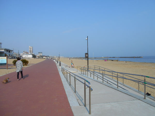 �{���C��