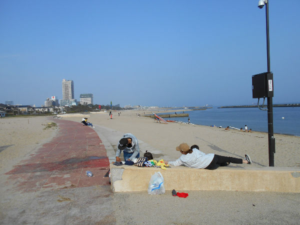 �{���C��