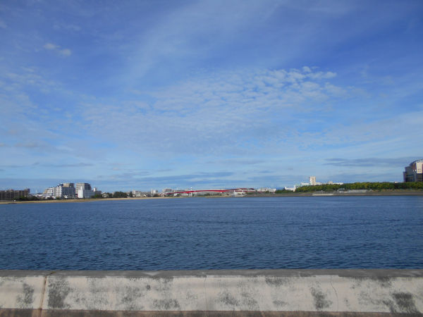 �������l