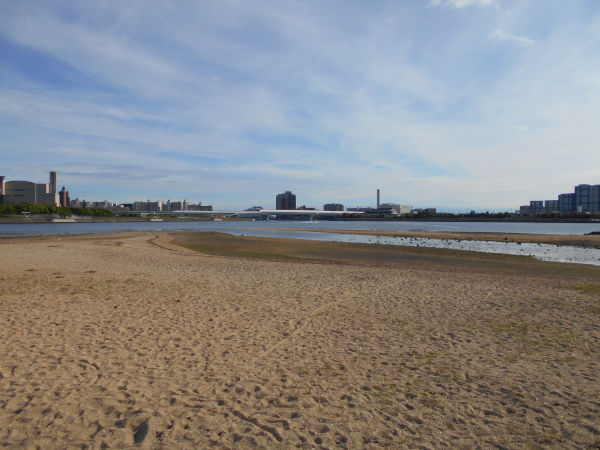 �������l