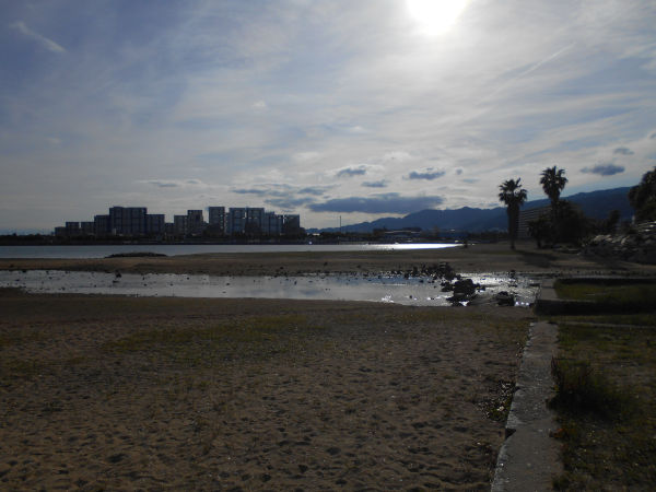 �������l