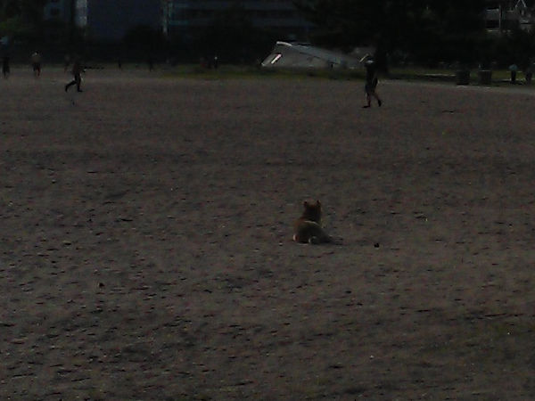 �������l