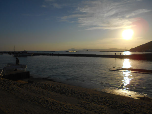 �{���C��2020�H