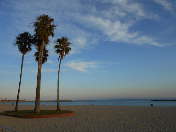 �{���C��2020�H