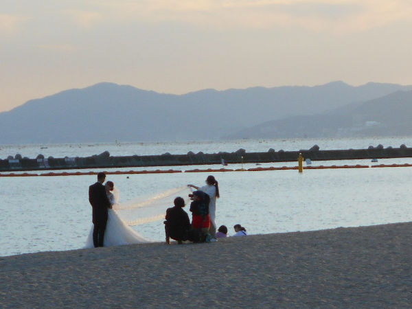 �{���C��2020�H