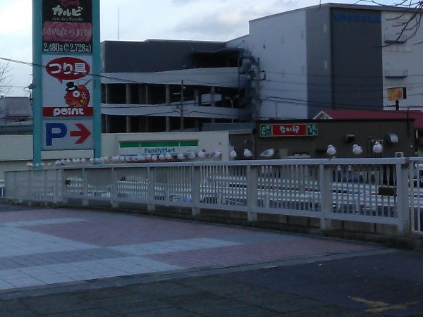 ��l�̃J����