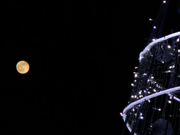 �r�[�o�[���[��