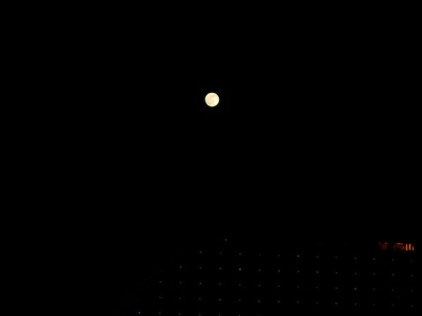 �R�[���h���[��