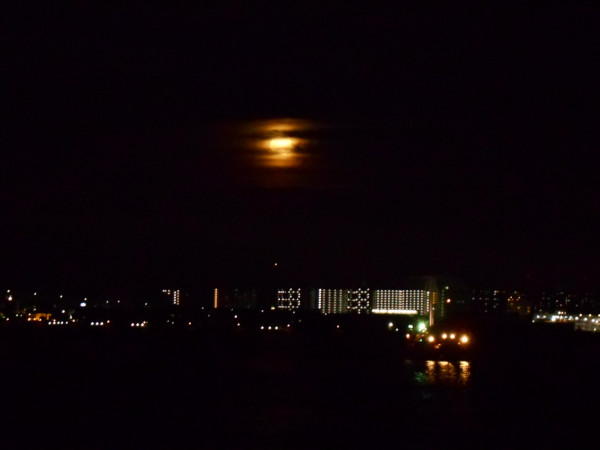 ���H�̖��� �Q�O�Q�Q