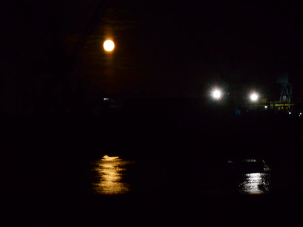 �n���^�[�Y���[��