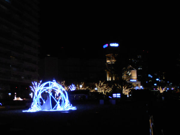 �����q��