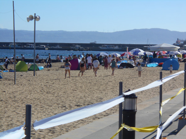 �{���C�� 2023