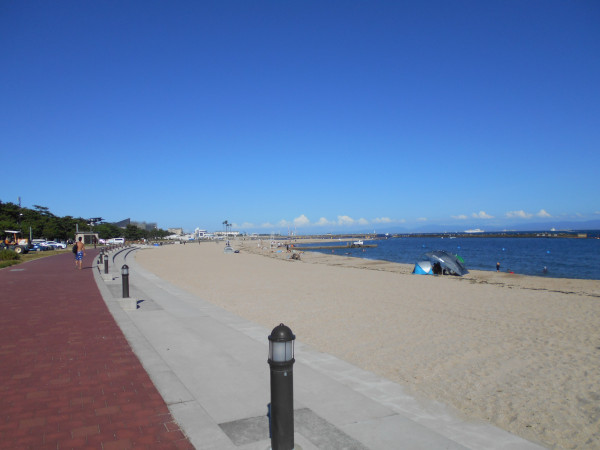 �{���C�� 2023