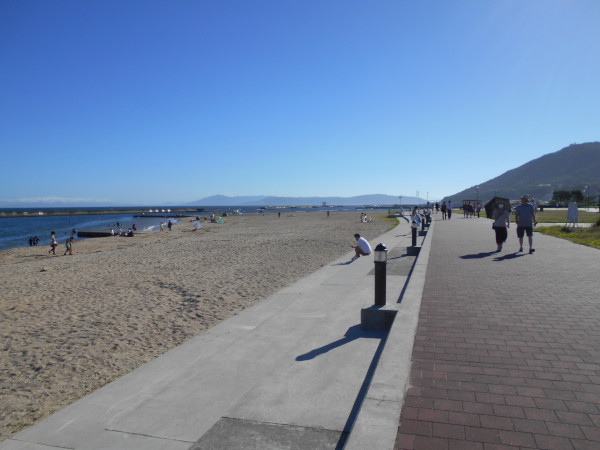 �{���C�� 2023