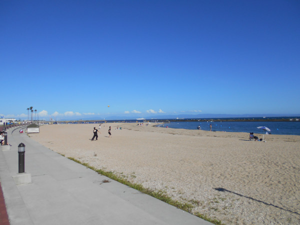 �{���C�� 2023