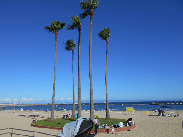 �{���C�� 2023