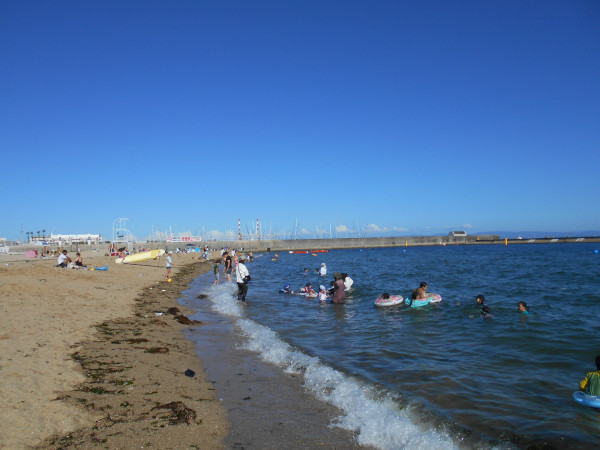 �{���C�� 2023