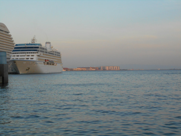 �����̔g�~��