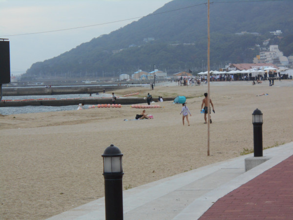 �{���C�� 2022