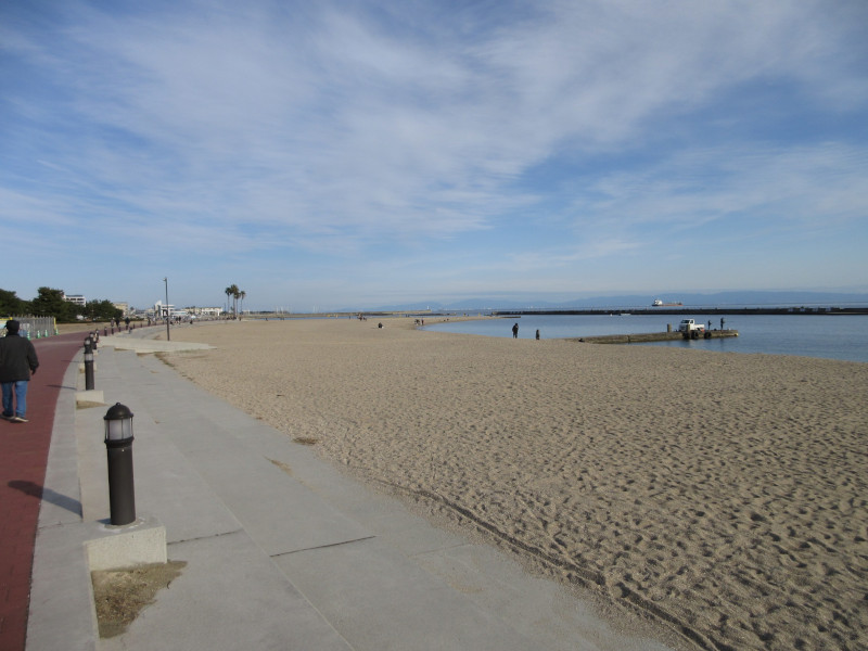 �{���C�� 2024