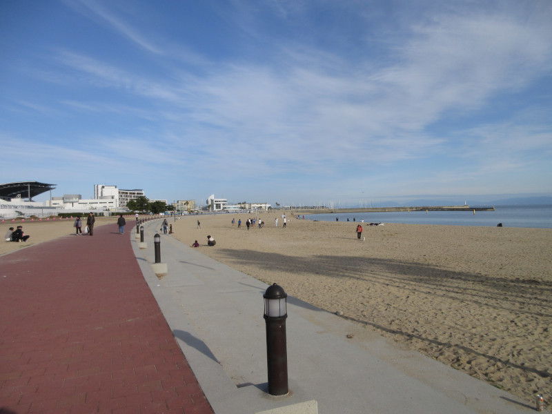 �{���C�� 2024